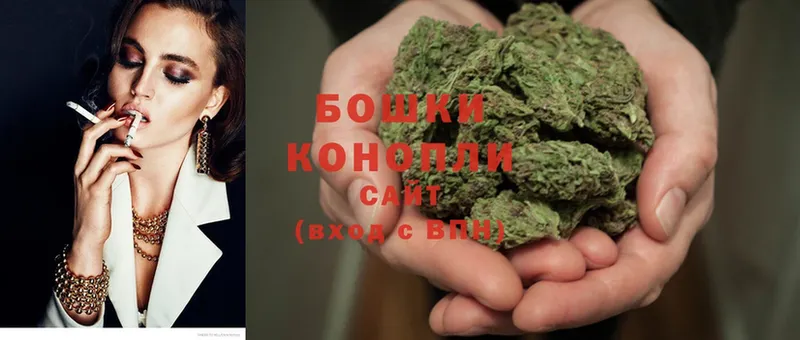 Конопля White Widow  где купить наркоту  Болотное 